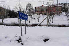 Bozlar- Kis (1)