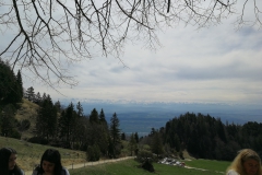 IMG_20190421_131130